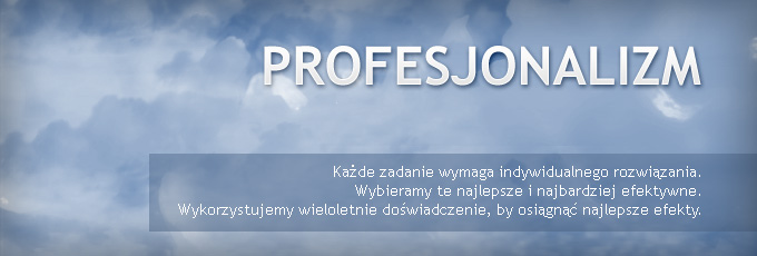 profesjonalizm